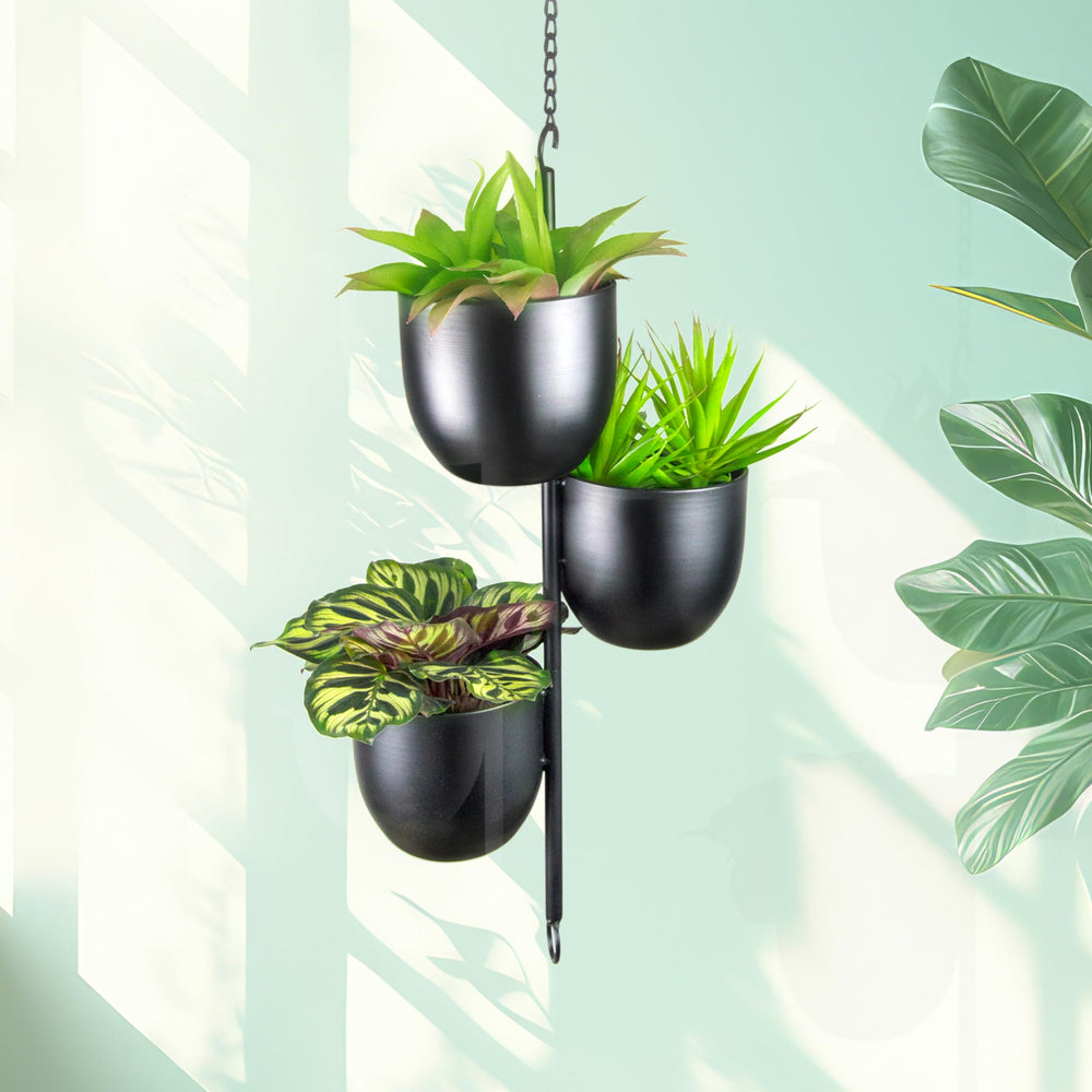 HemePaha connected units example showing cascading modular green wall capability