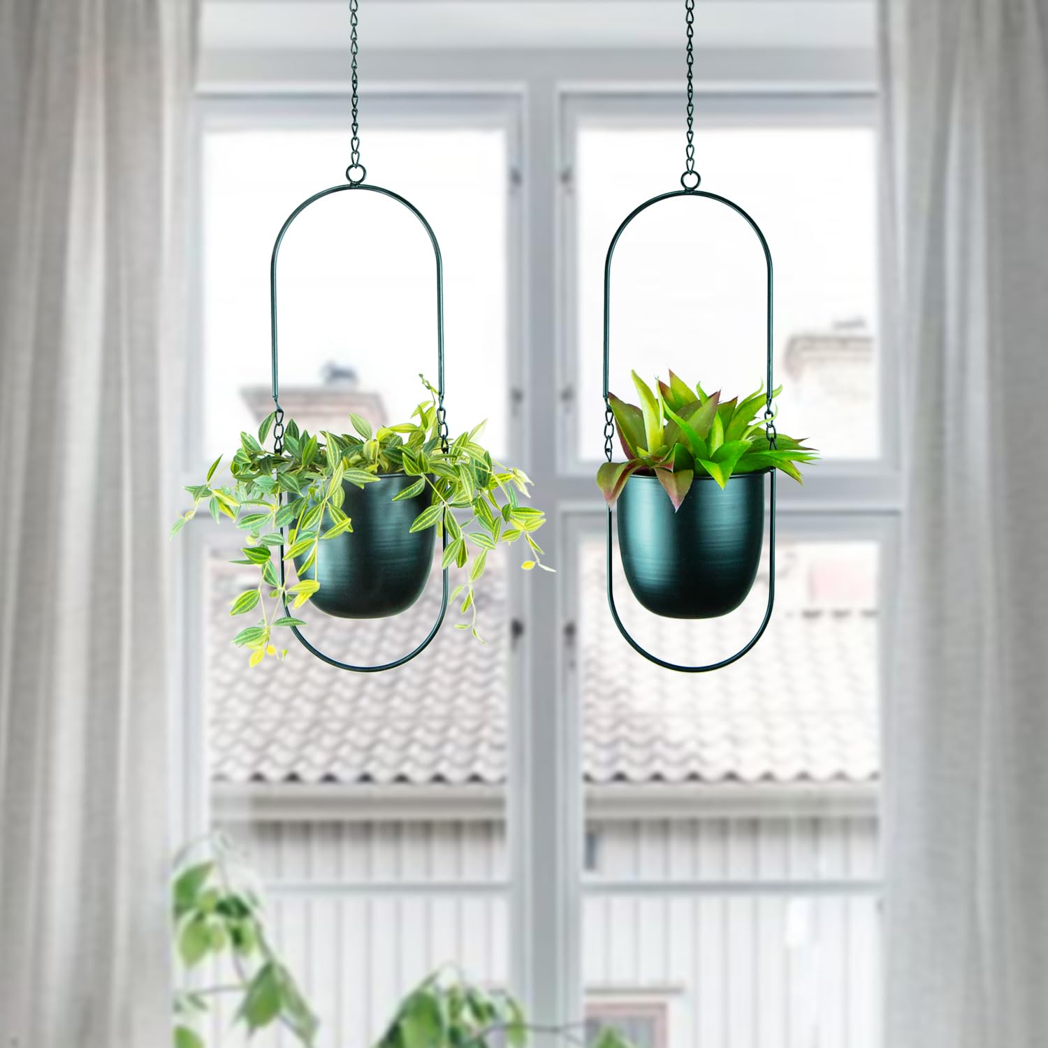 HemePaha styled window display creating boho aesthetic and light advantage