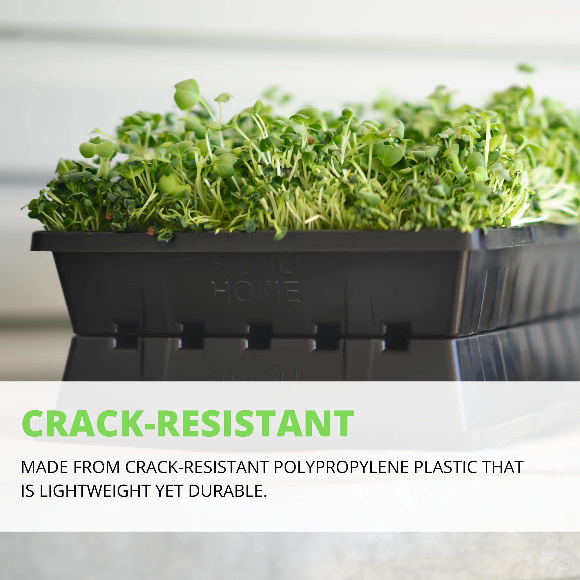 Hemlock tray filled with vibrant microgreens demonstrating food-safe use