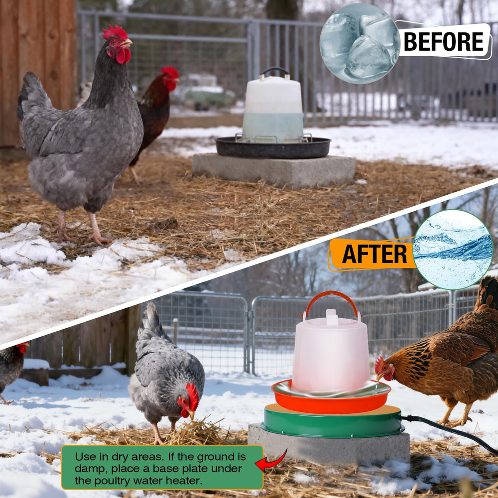 heninhill base beside 1-gallon waterer showing scale and compatibility