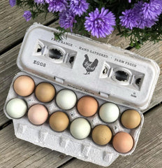 Henlay recycled paper texture close-up highlighting sturdy molded egg wells and cushioning
