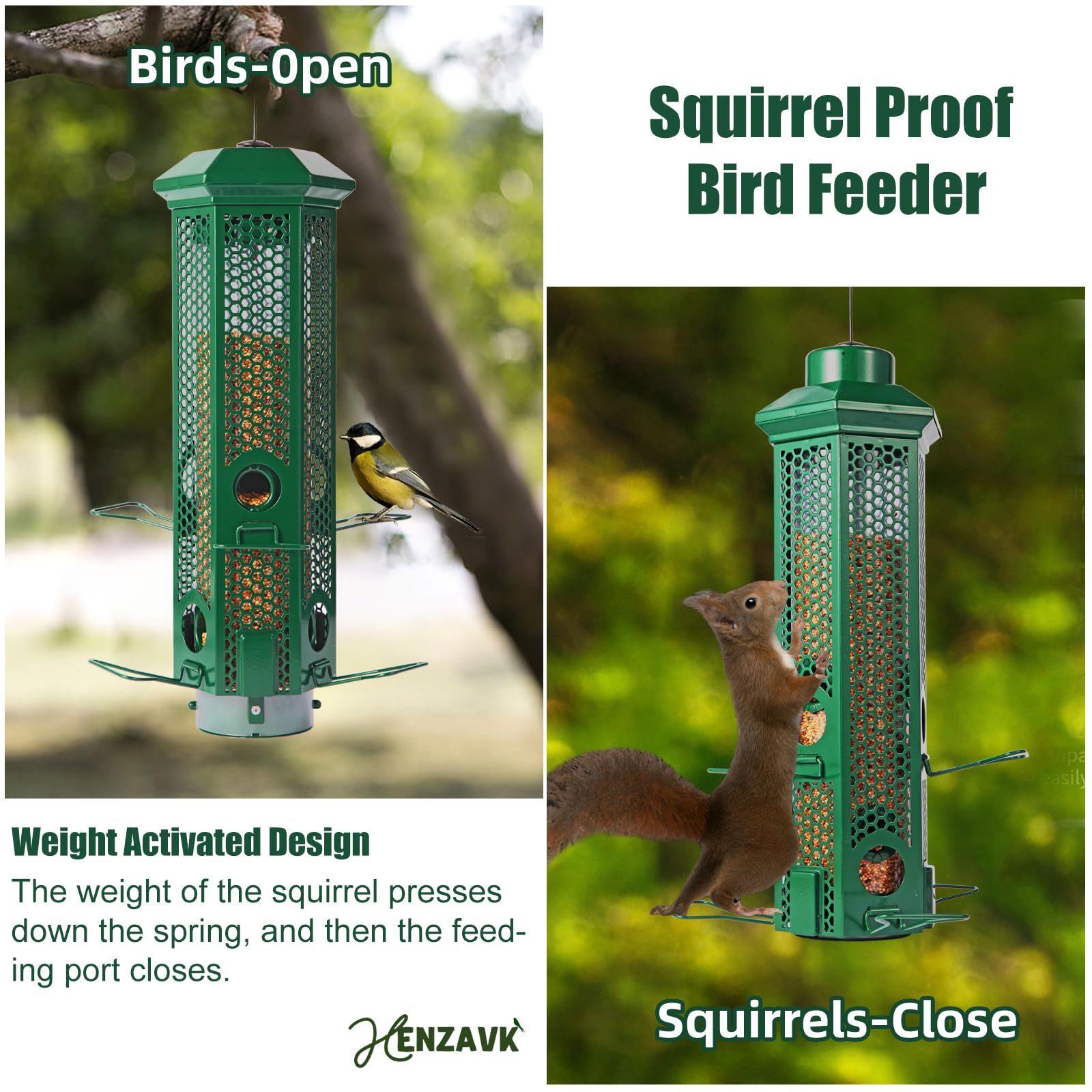 Henzavk detachable base removed for easy cleaning and seed maintenance