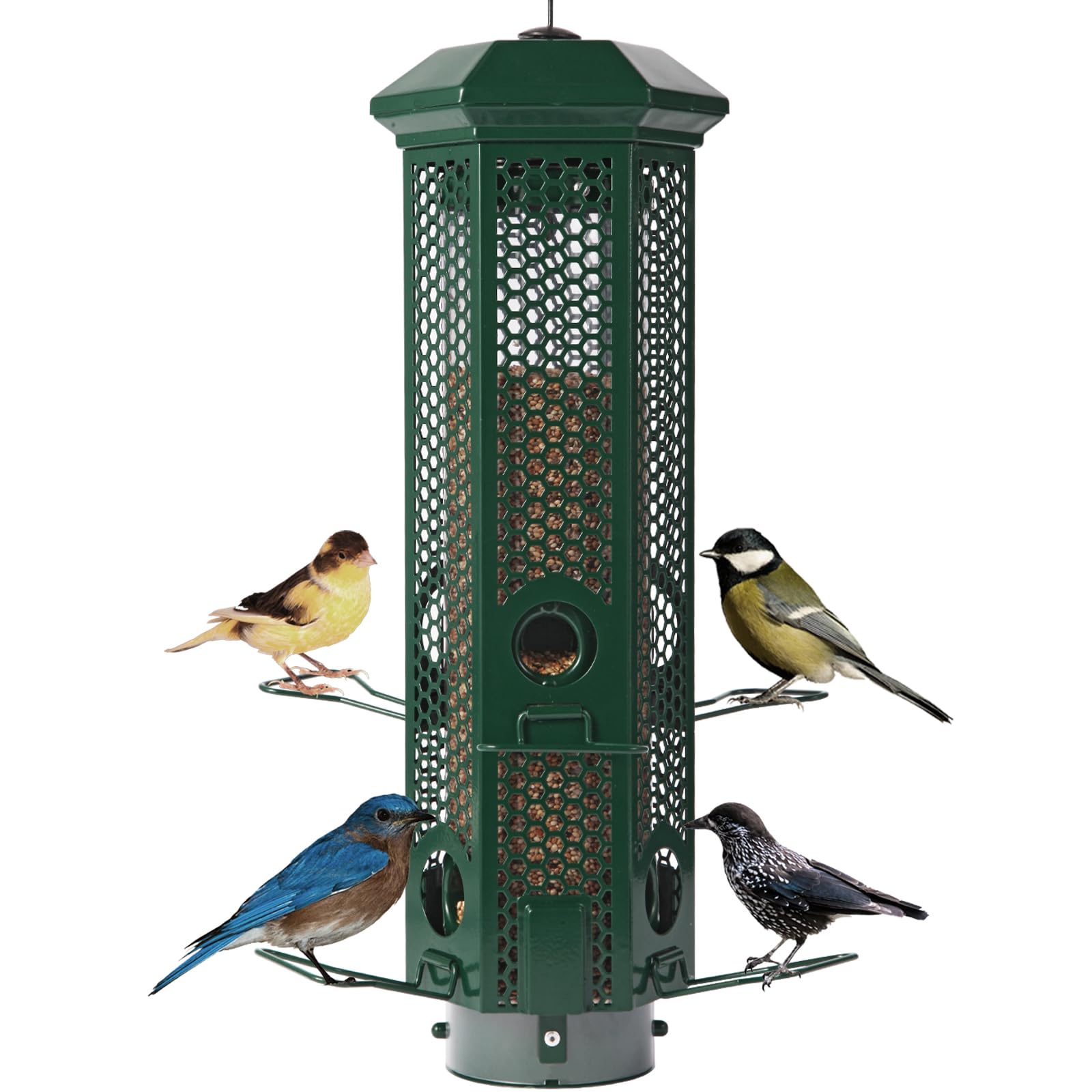 Henzavk front hanging view showing green feeder boosting backyard birdwatching