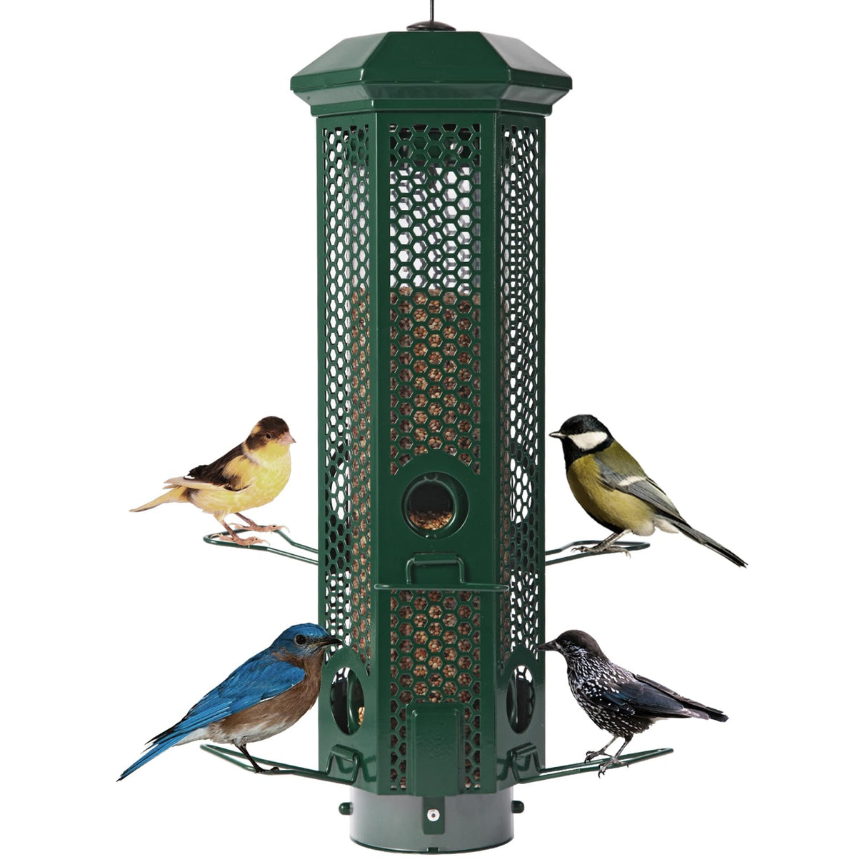 Henzavk front hanging view showing green feeder boosting backyard birdwatching
