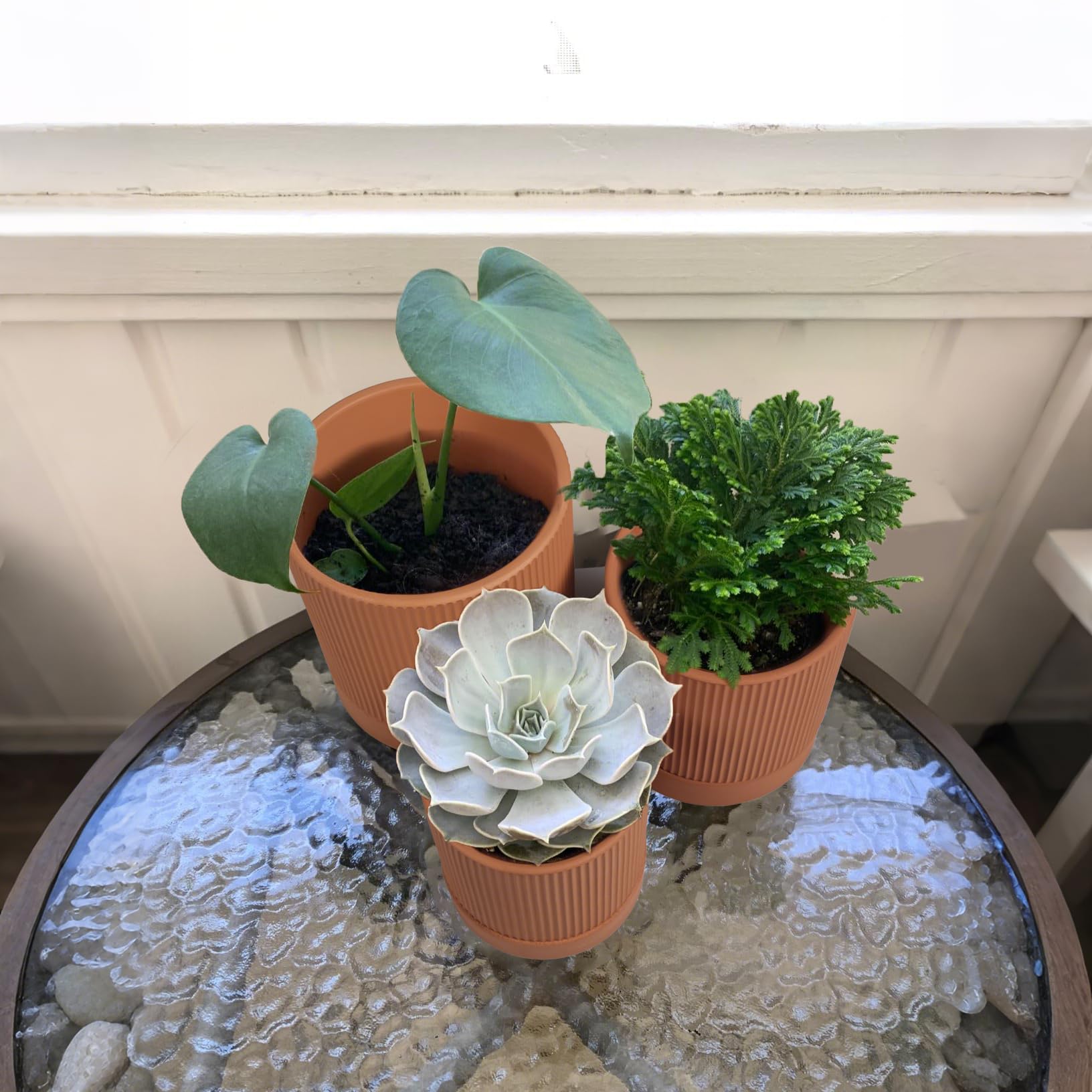 HERDUK three pots side-by-side showing size comparison for plant selection