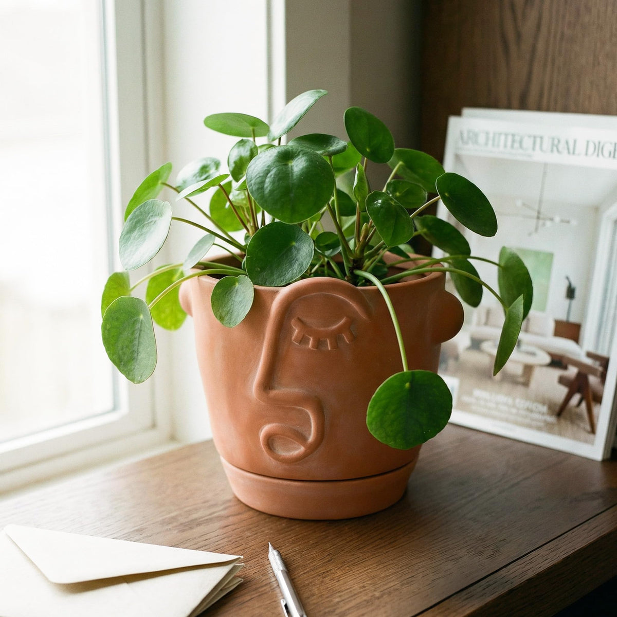 HERDUK front view showing abstract face planter and modern look
