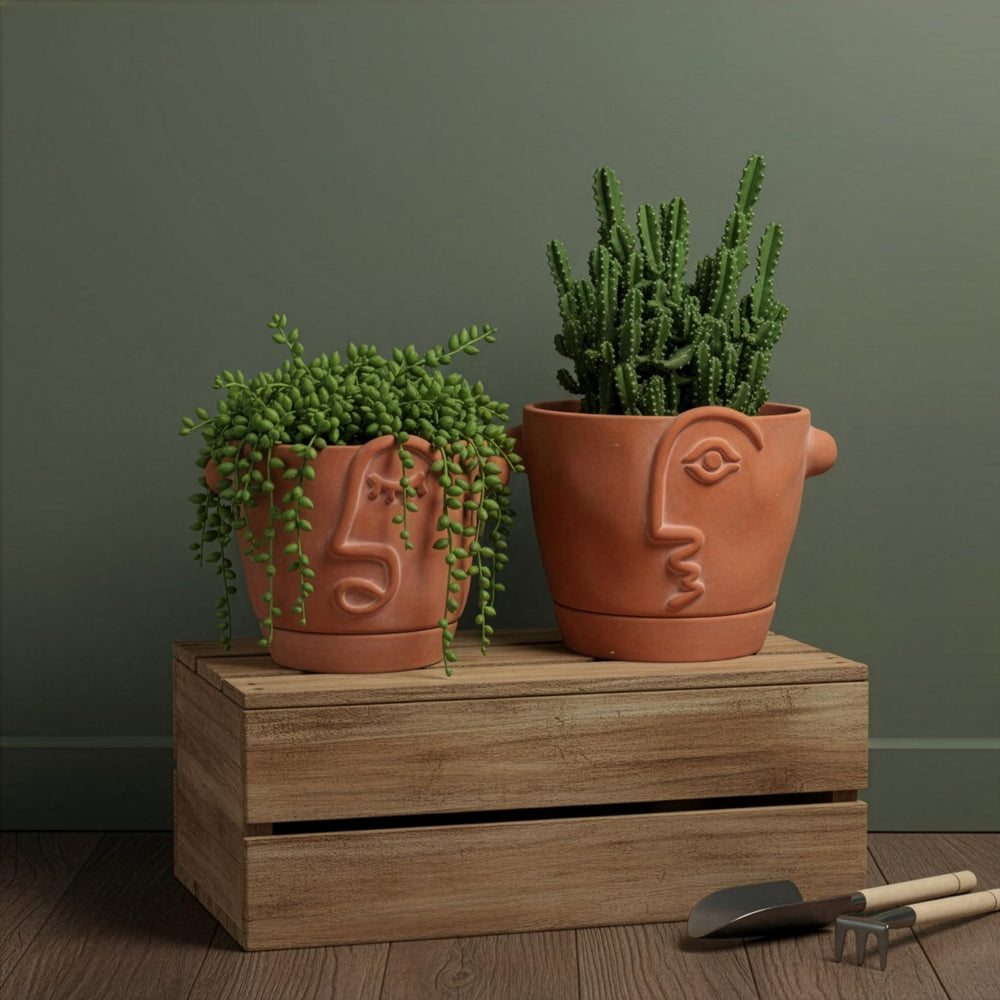 HERDUK gift-wrapped planter presented as a thoughtful present