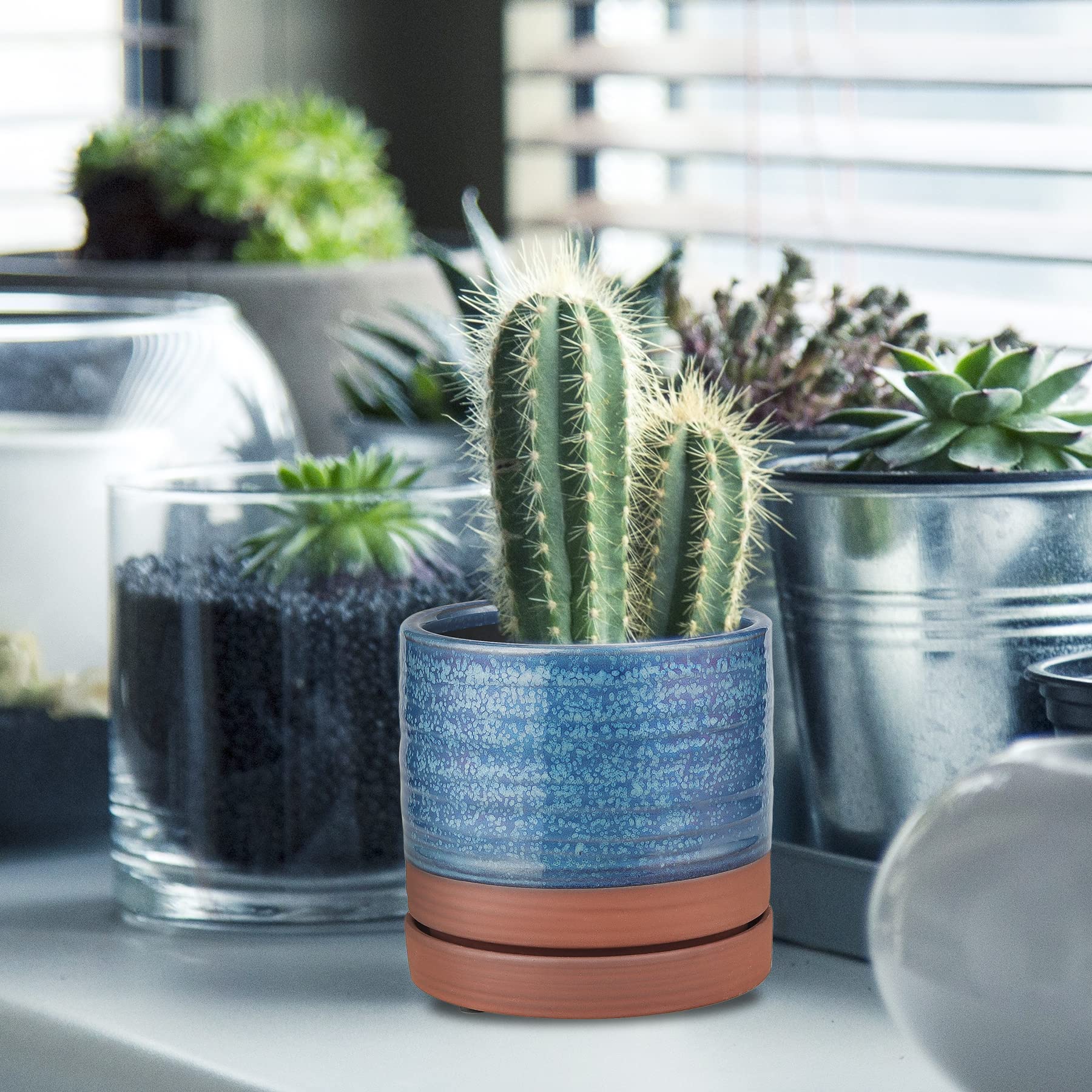 HERDUK planter on kitchen counter with herb showing easy access and decor benefit
