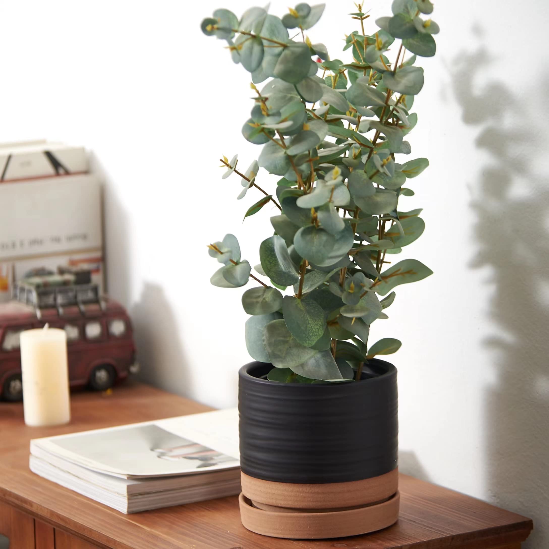 HERDUK planter in living room displaying plant and stylish décor benefit