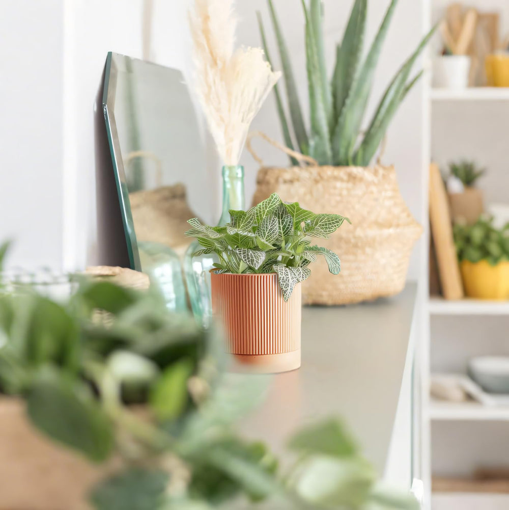 HERDUK terrace display of pots outdoors showing weather-ready styling benefit