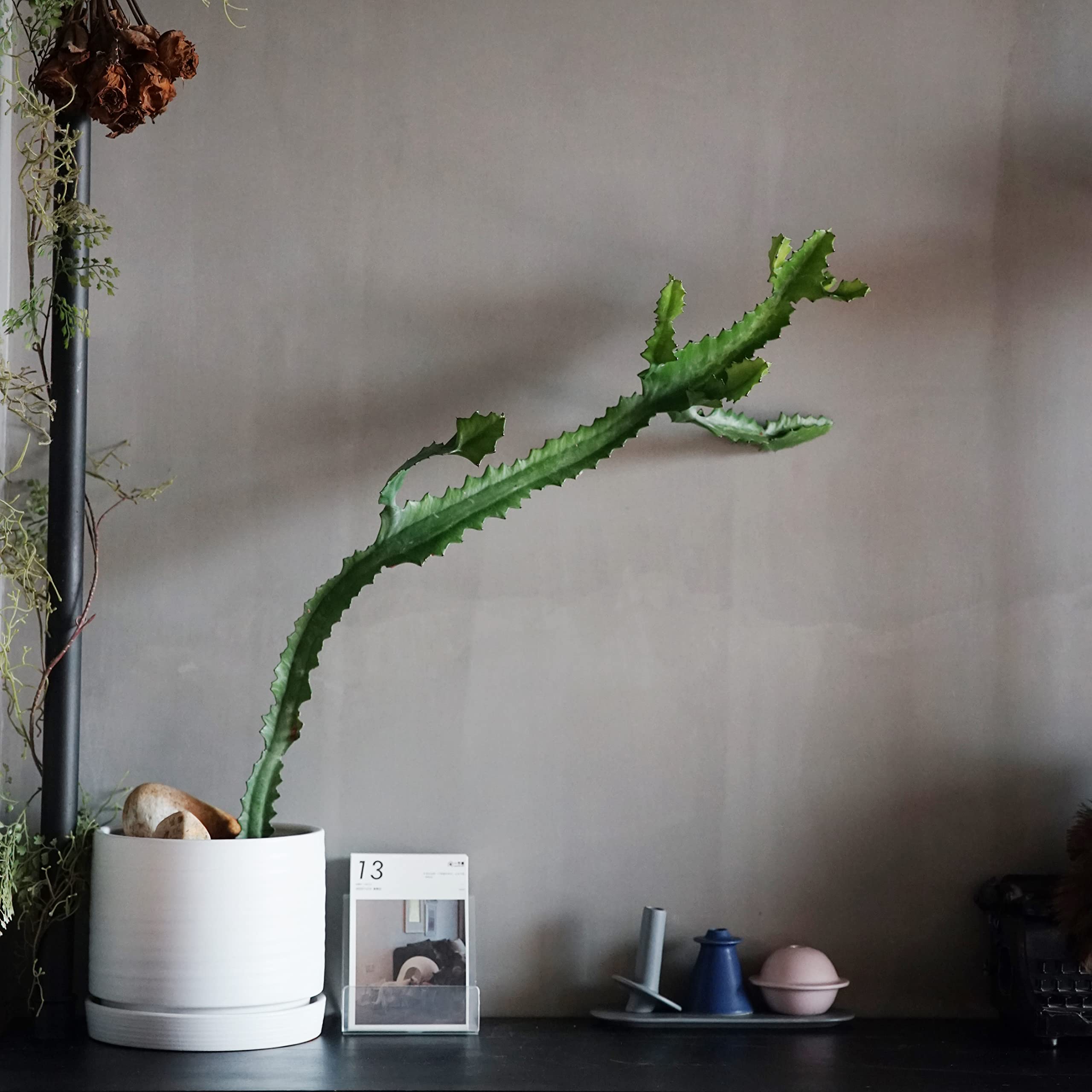 HERDUK planter styled on a covered patio enhancing outdoor décor