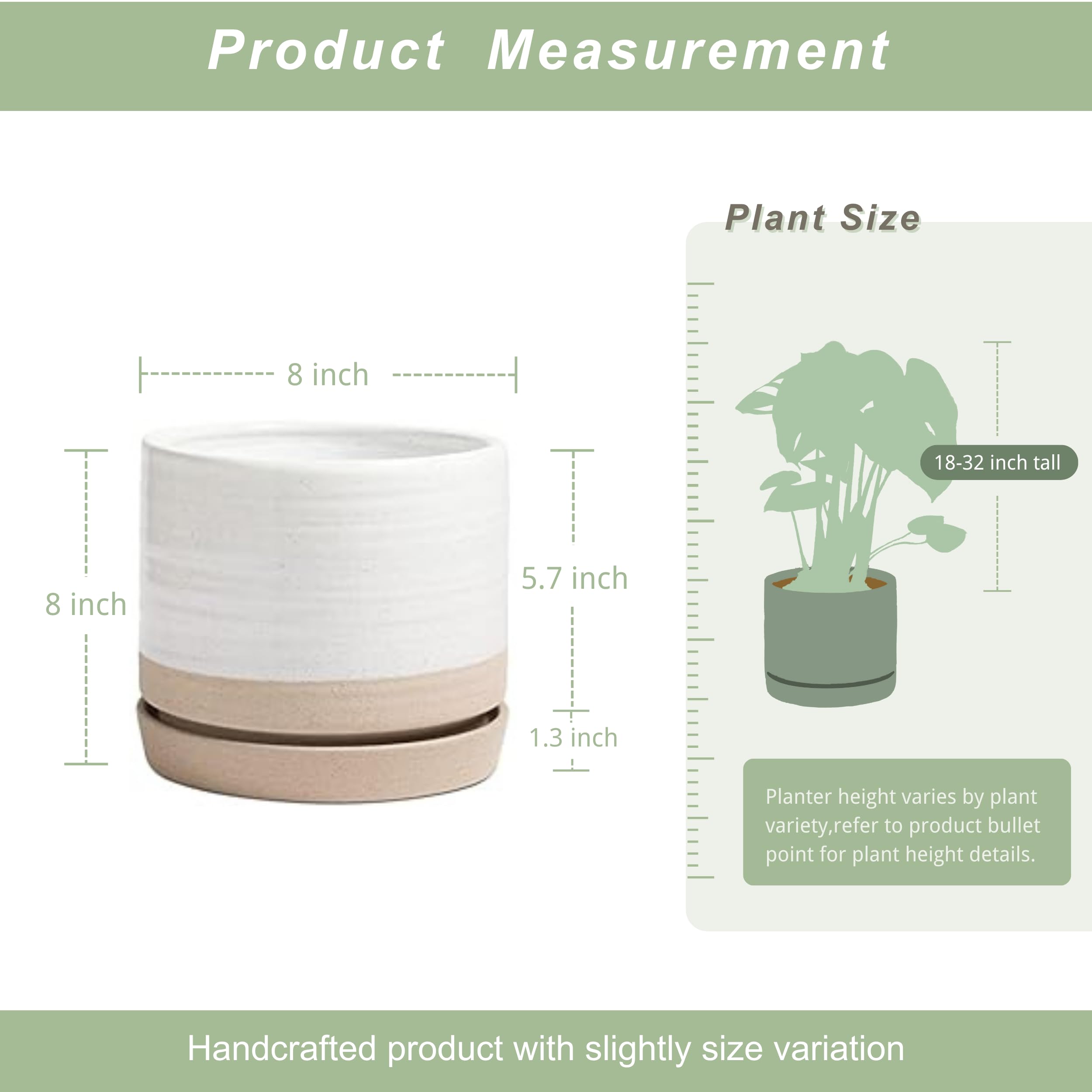 HERDUK planter texture close-up highlighting circular pattern and matte glaze for stylish detail