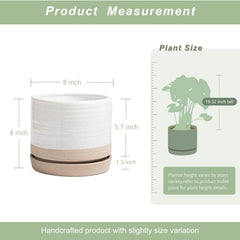 HERDUK planter texture close-up highlighting circular pattern and matte glaze for stylish detail
