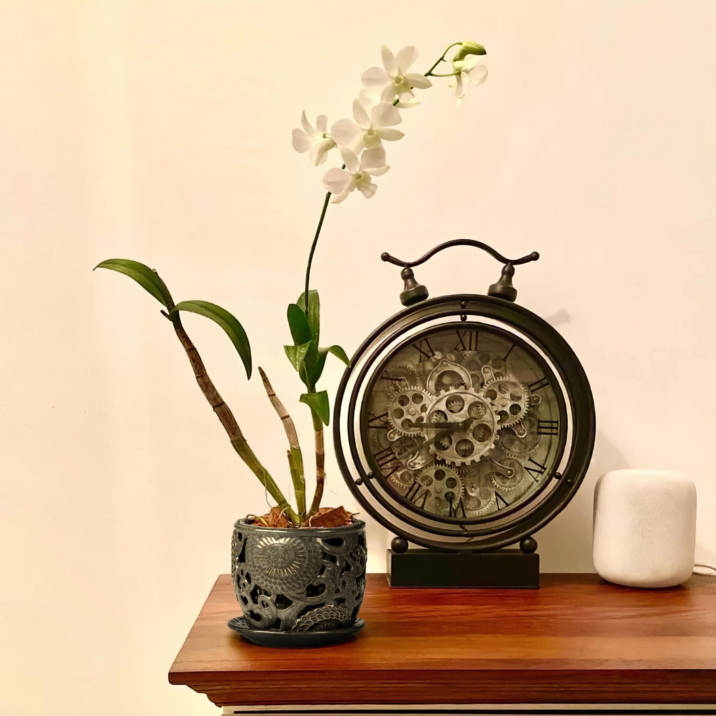HERDUK styled on a table in a living room to show decor integration
