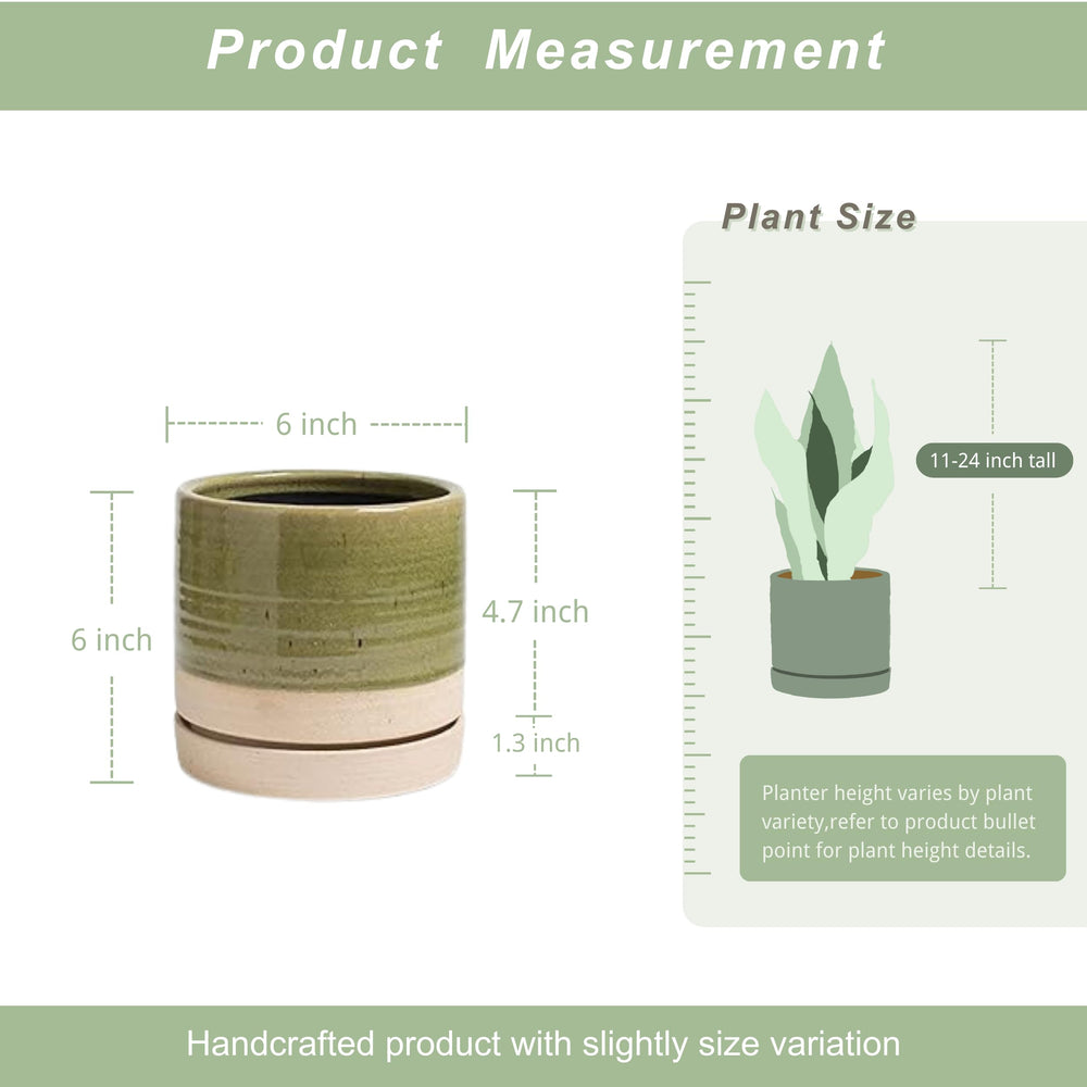 HERDUK drainage hole and saucer detail protecting surfaces with tidy watering
