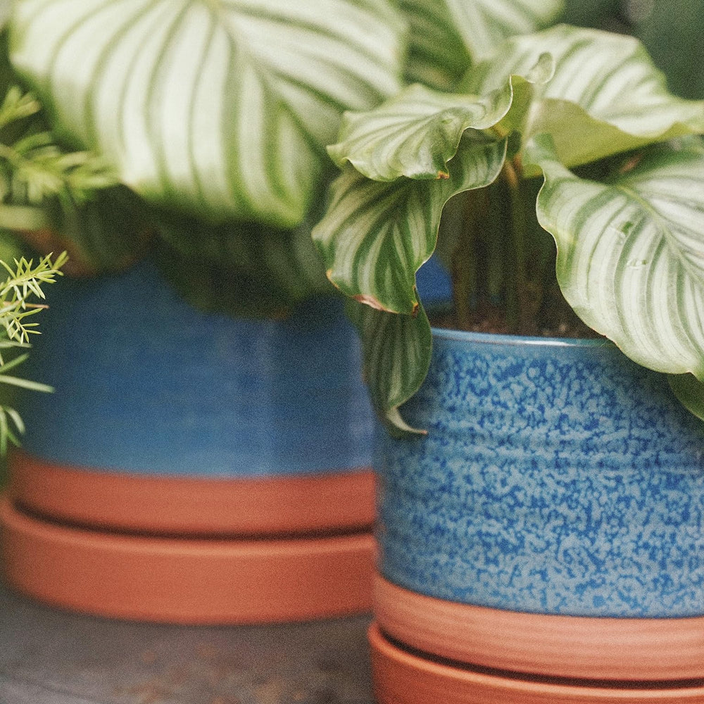 HERDUK planter next to common objects showing scale and fit for spaces