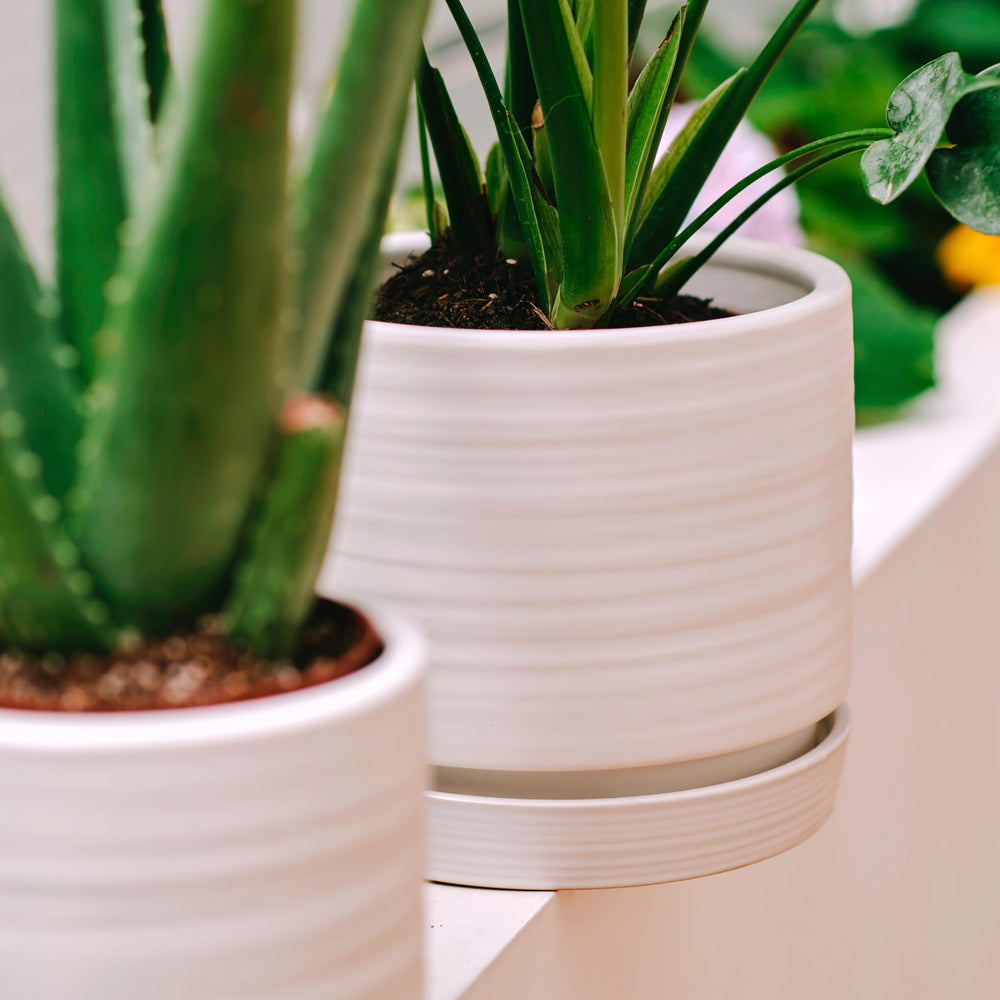 HERDUK planter beside a ruler illustrating 8 inch size and scale