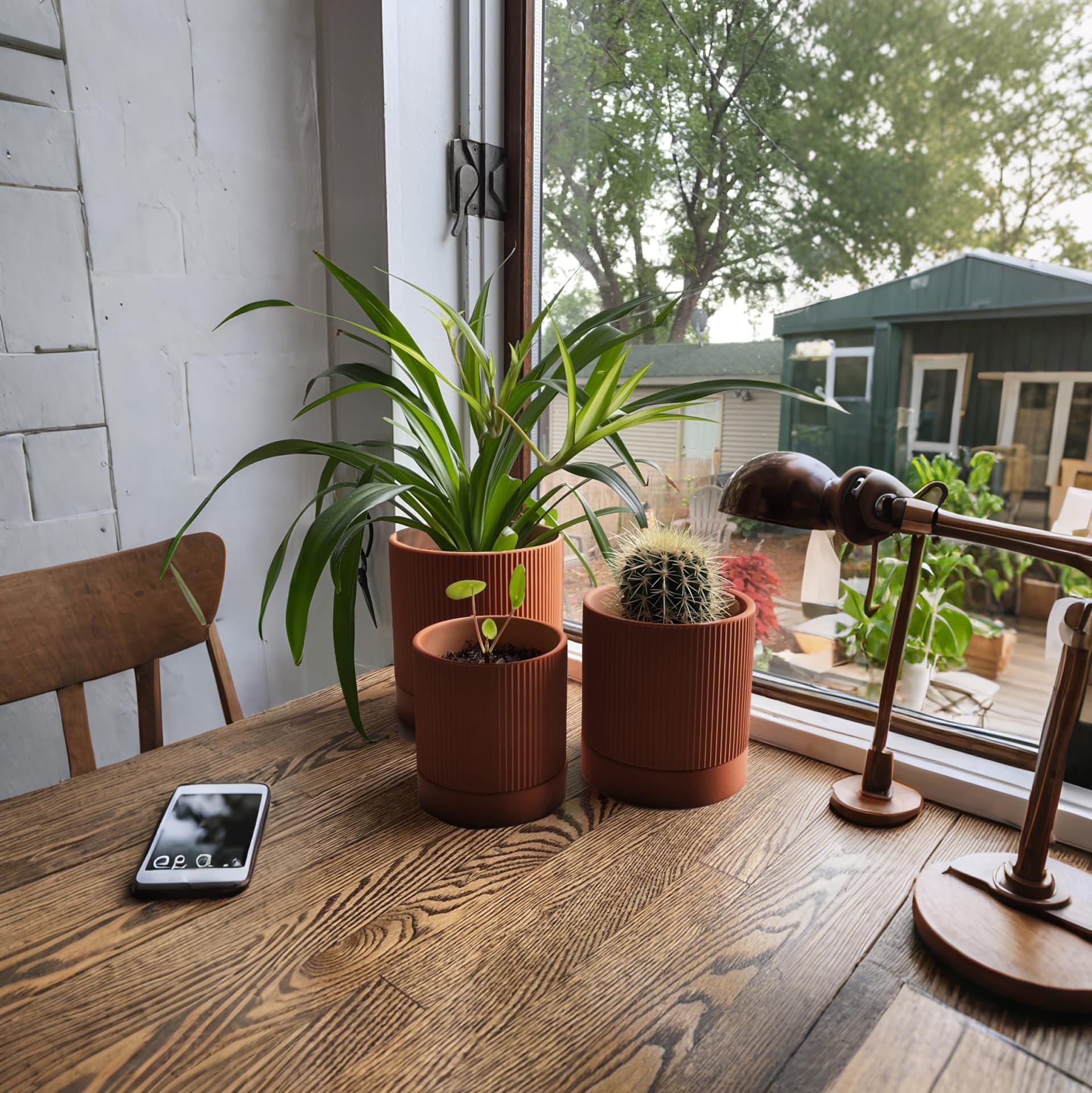 HERDUK potted succulent on shelf showing how pots enhance indoor decor
