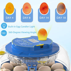 HERTMUN close-up of dual egg trays showing flexible egg capacity