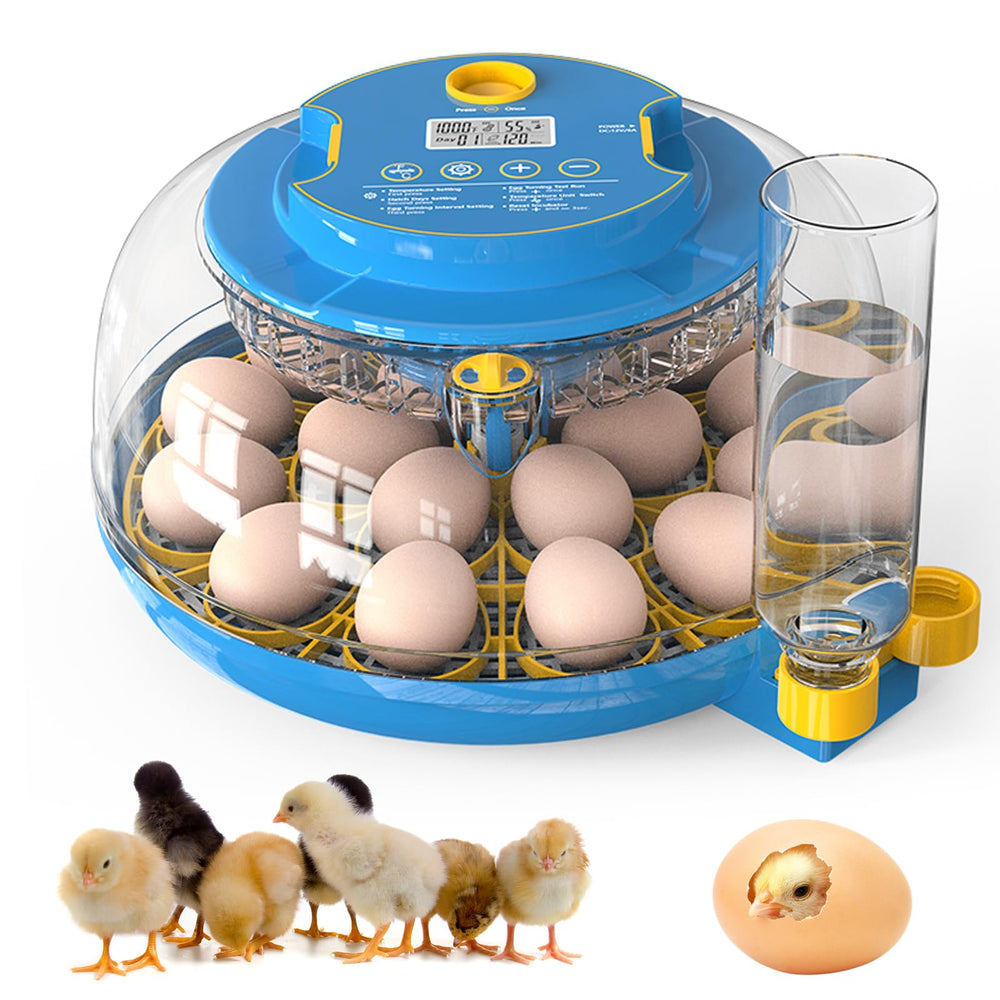 HERTMUN front view showing incubator and tray for convenient hatching