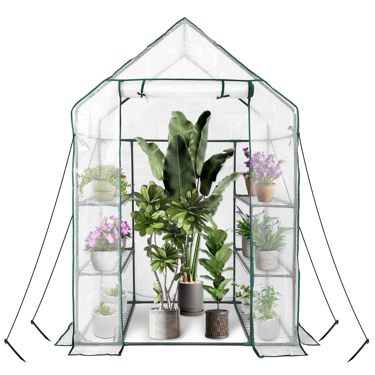 heyfurni front view of walk-in greenhouse showing protected plants and easy access