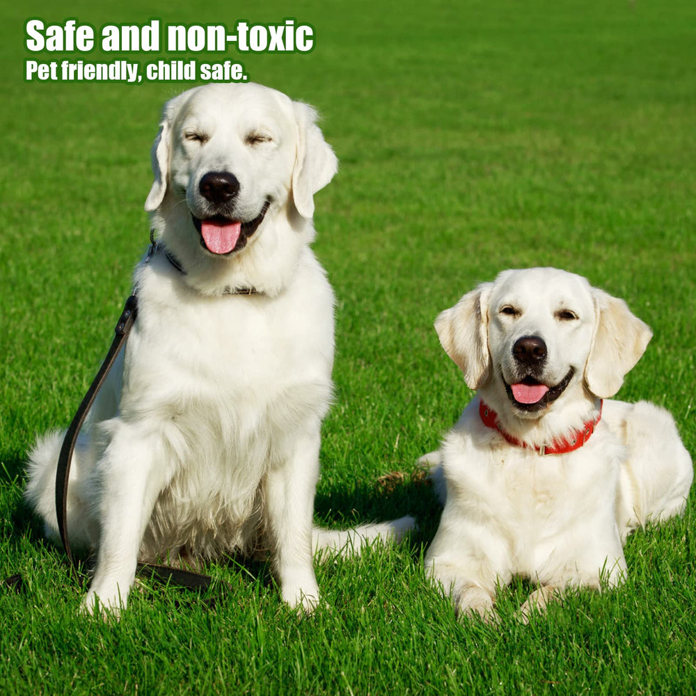 Heyroll pet using turf demonstrating pet-friendly surface and hygienic drainage