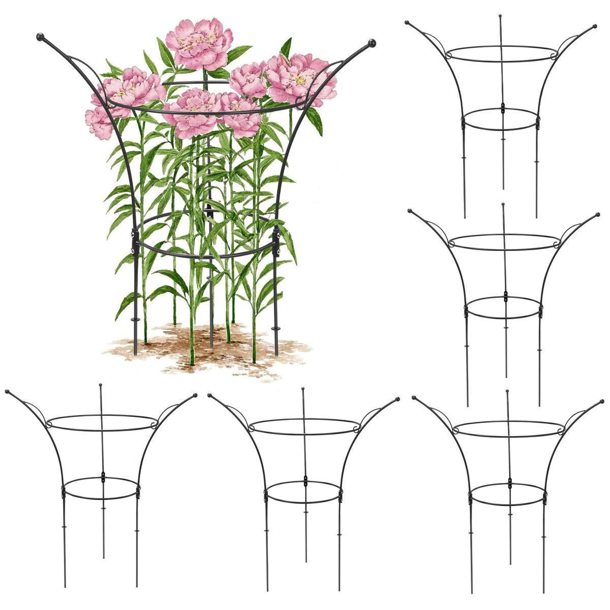 HEYTIMI front view of peony cage showing sturdy frame and reliable support