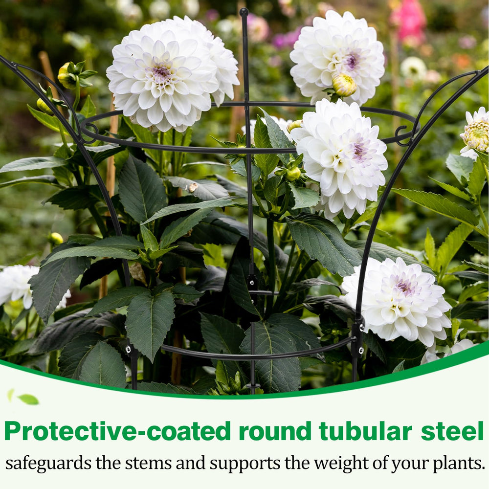 HEYTIMI cage supporting peonies and roses to prevent drooping