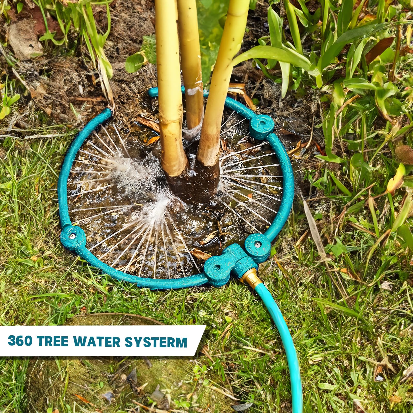 HEYTIMI ring placed in raised garden bed demonstrating targeted irrigation benefit