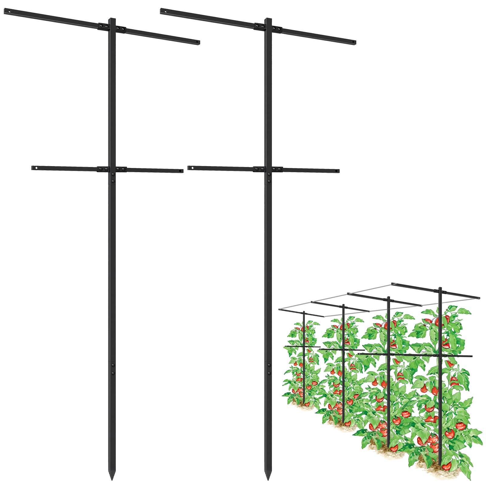 HEYTIMI trellis front view showing full 7 ft height and arm spread, supports vines