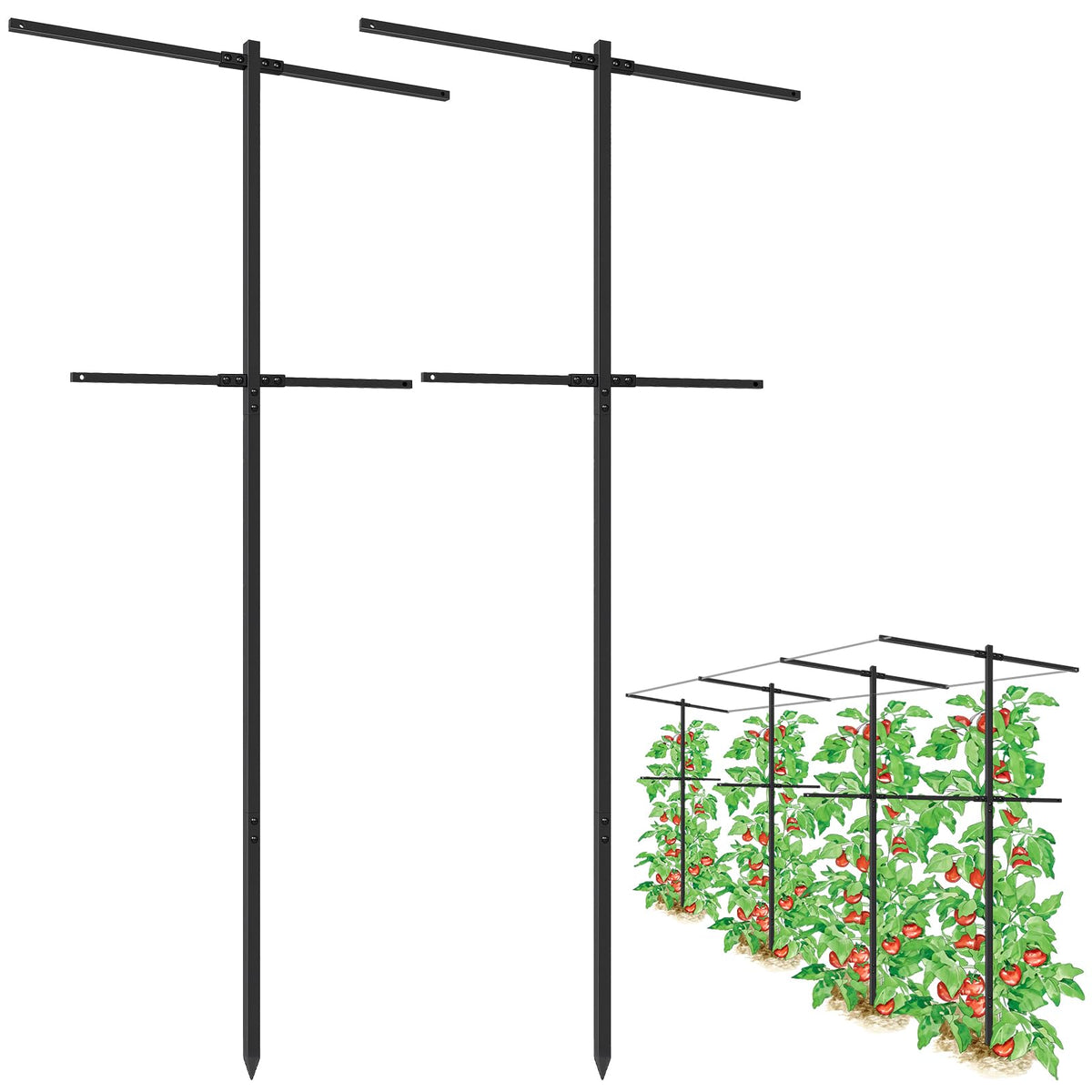 HEYTIMI trellis front view showing full 7 ft height and arm spread, supports vines