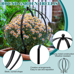 HEYTIMI trellis placed in pot with climbing rose showing trained growth benefit: neat vertical support