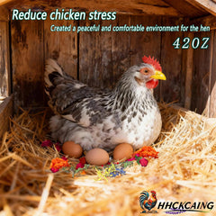 HHCkcaing being sprinkled into a nest box to attract hens and protect eggs