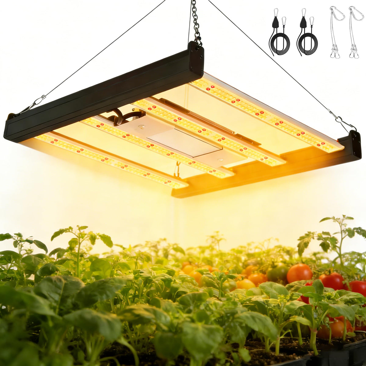 HHNMA front view of compact grow light showing full-spectrum lamp benefits