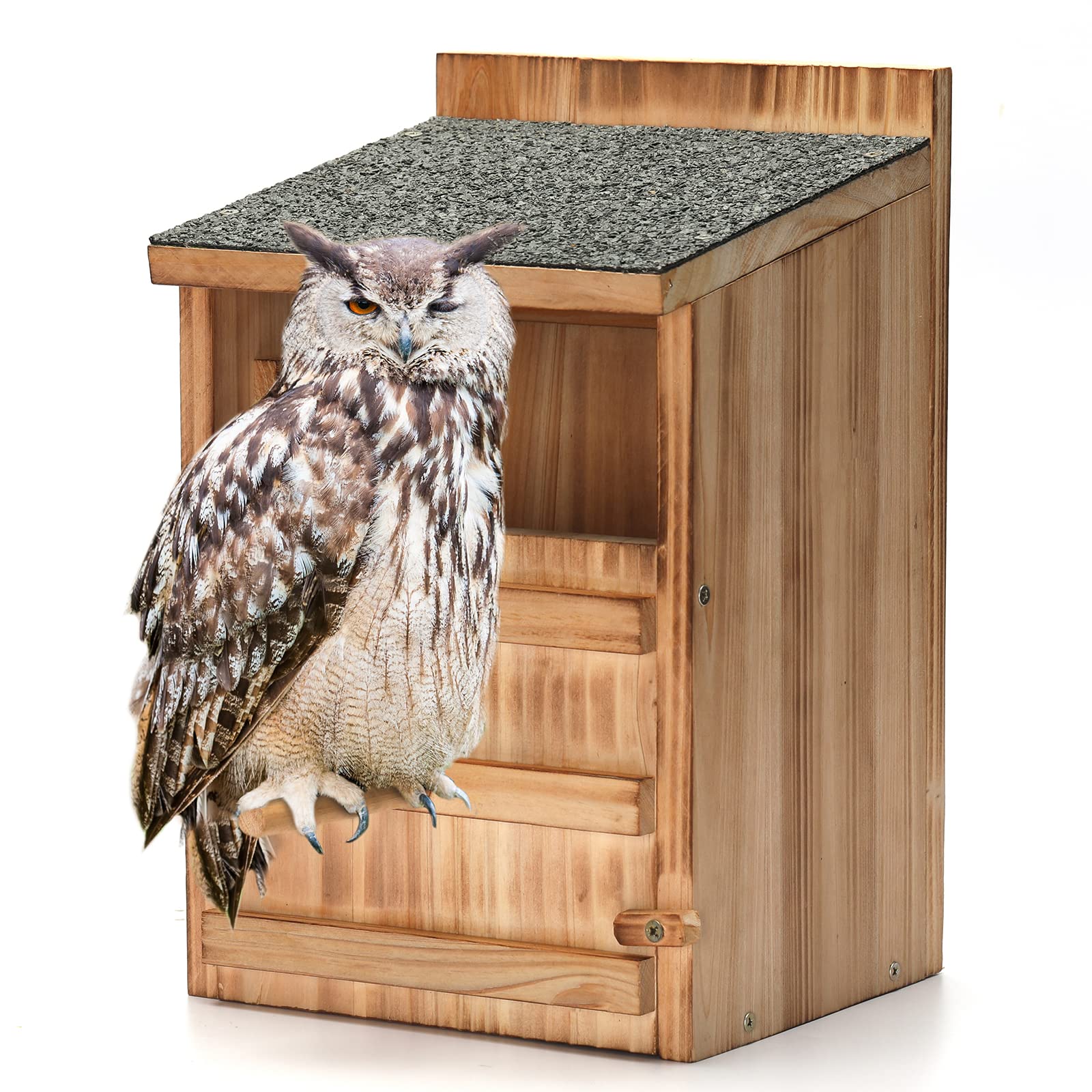 HHWODB front view of owl house showing entrance and sturdy build benefits