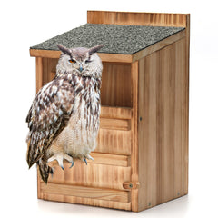 HHWODB front view of owl house showing entrance and sturdy build benefits