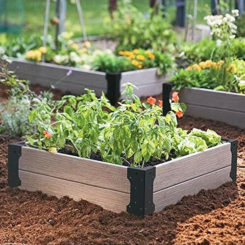Hi Flame raised bed in garden demonstrating neat, tidy planting space