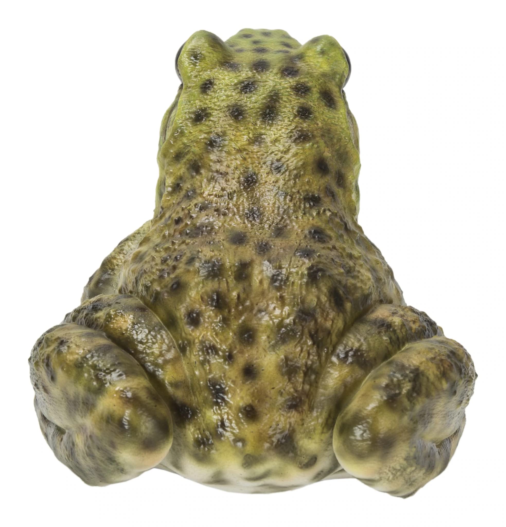 HI-LINE bullfrog close-up texture revealing hand-painted skin detail