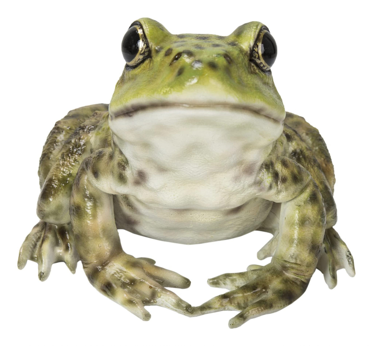 HI-LINE bullfrog front view showing lifelike detail and decorative impact