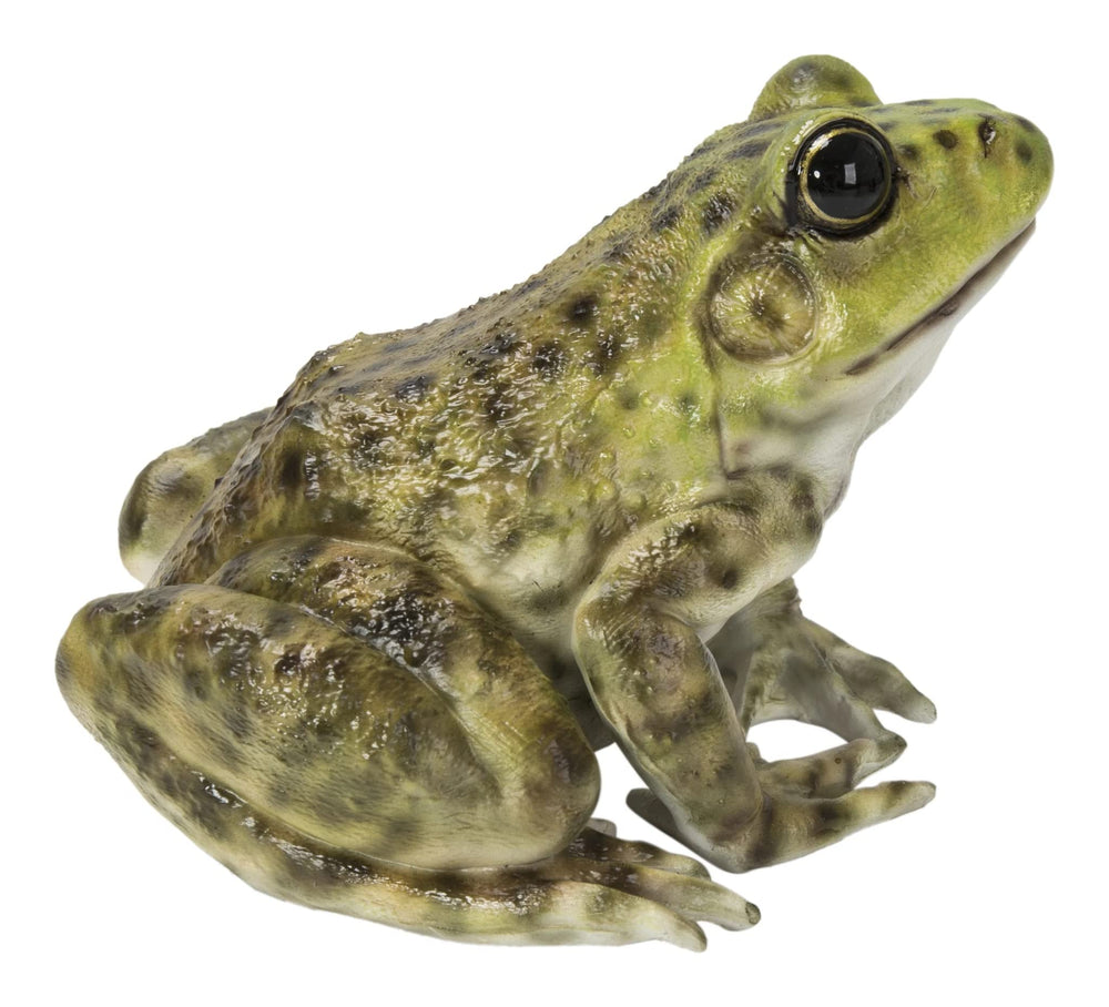 HI-LINE bullfrog placed in garden illustrating weather-ready decor benefit