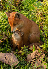 HI-LINE front view of mother and baby fox statue showing charming pose and warmth