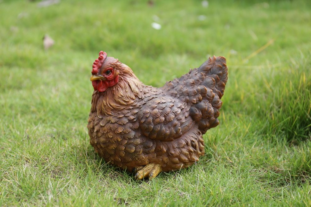 HI-LINE close-up of hen feather detail highlighting realistic texture benefit