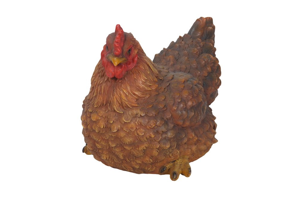 HI-LINE squatting hen front view showing lifelike pose and rustic charm