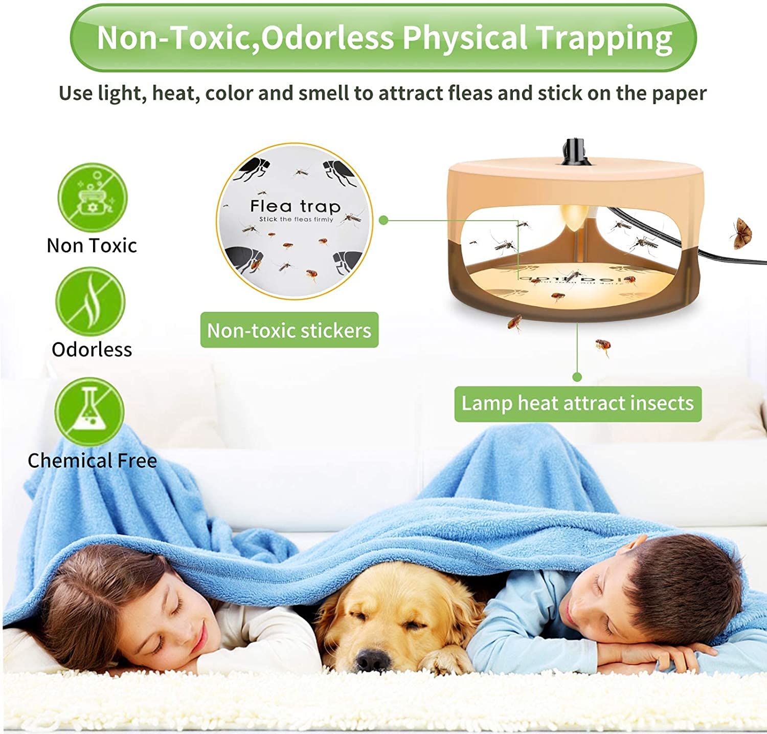 HiAnifri trap placed in living room showing discreet, non-toxic control