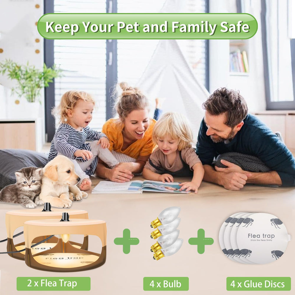 HiAnifri sticky pad close-up showing adhesive surface trapping tiny pests