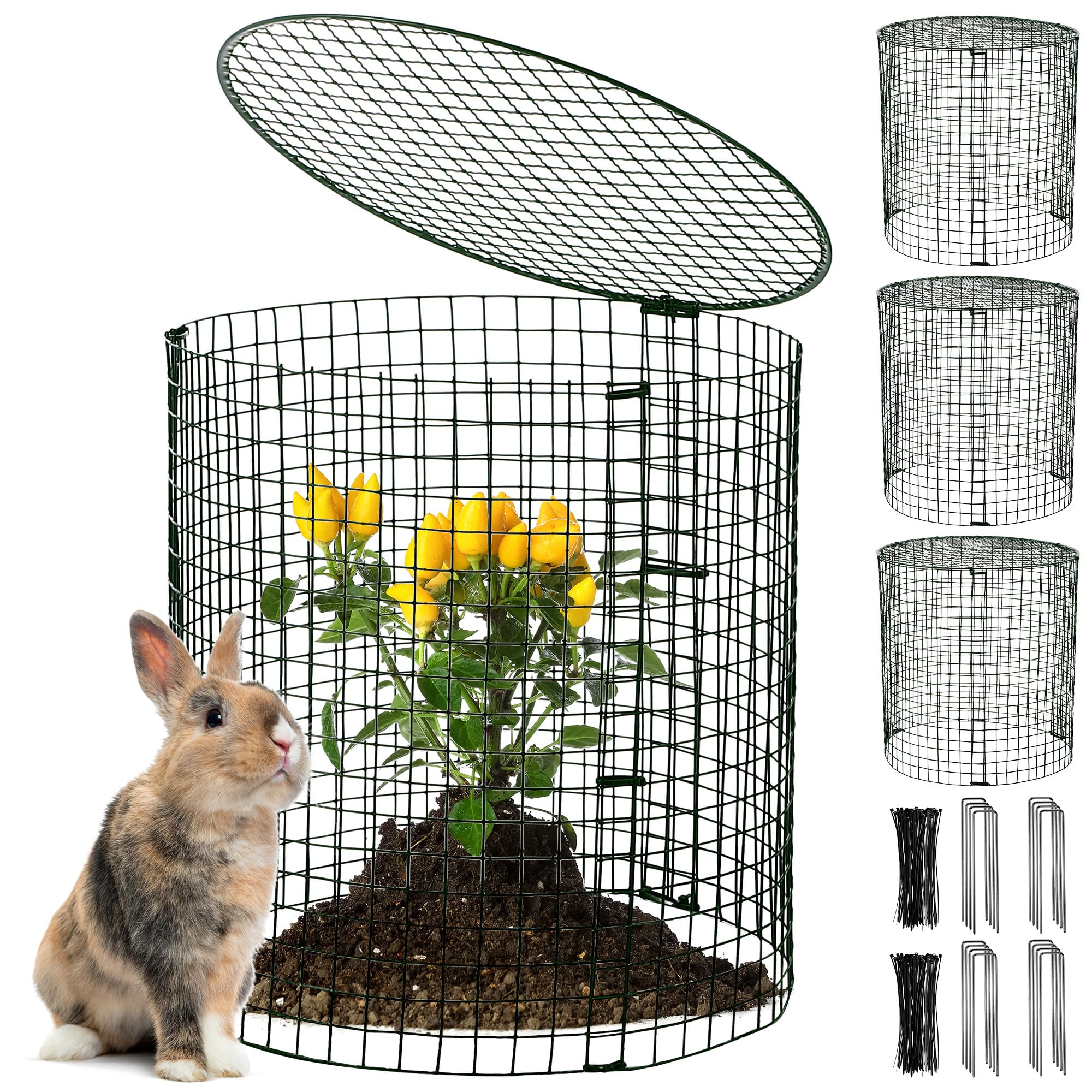 Hiboom assembled cage front view showing secure plant protection and clear coverage