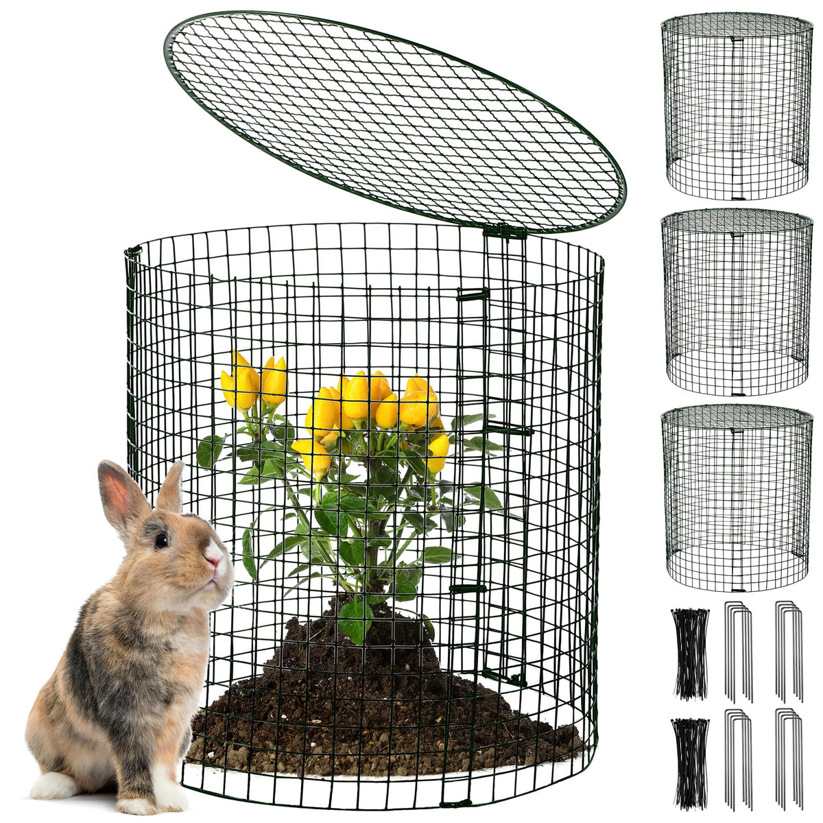 Hiboom assembled cage front view showing secure plant protection and clear coverage