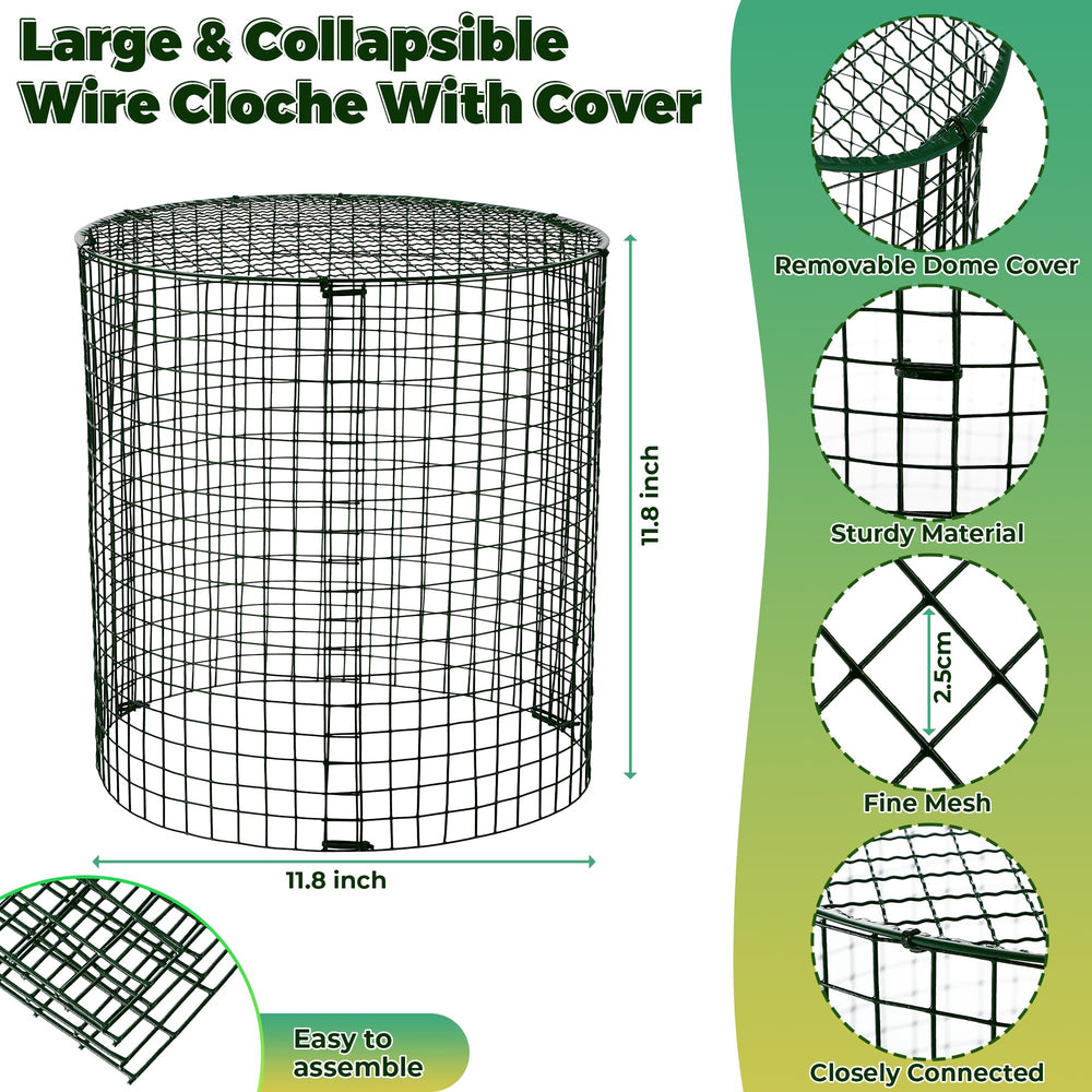 Hiboom cage installed in raised bed protecting seedlings while allowing light