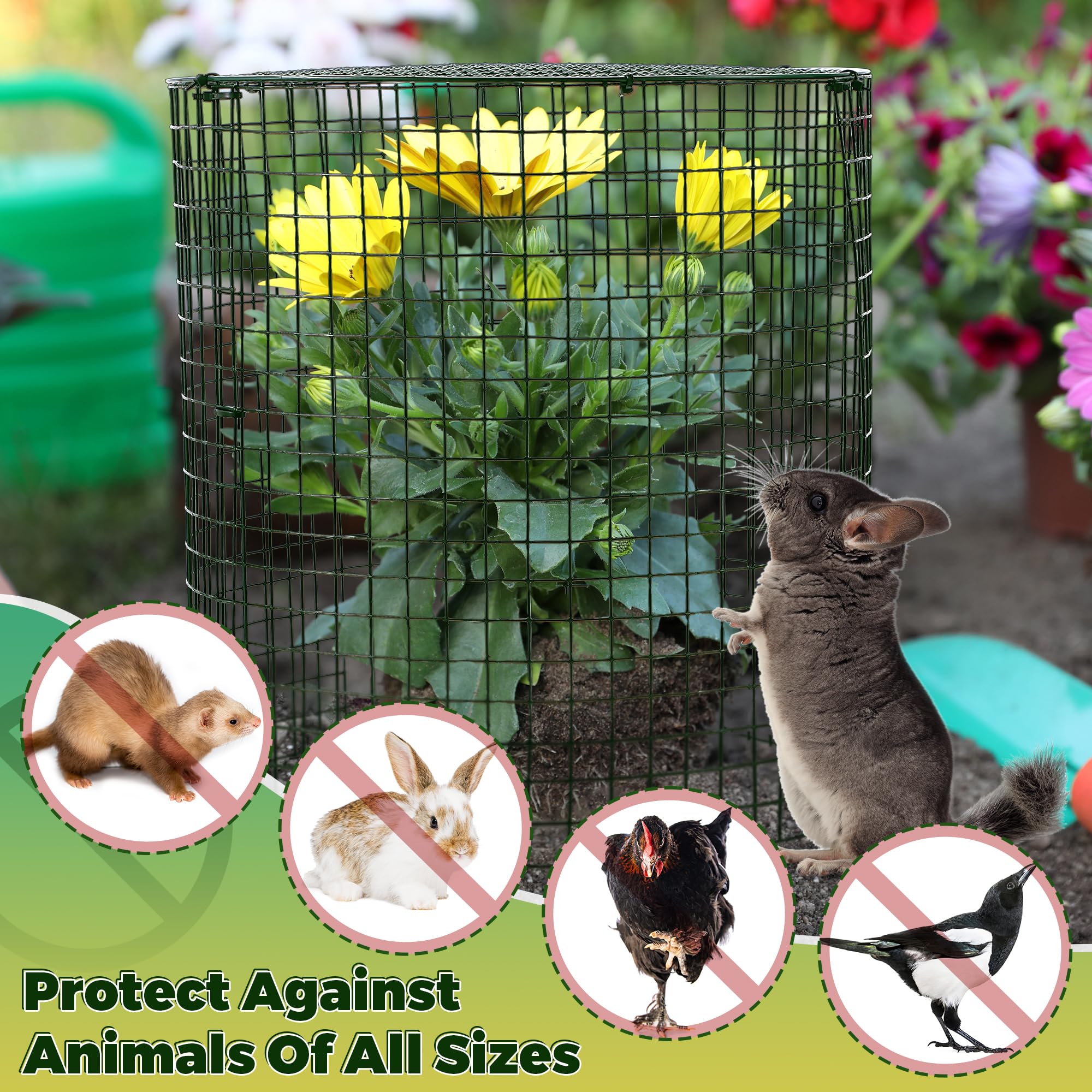 Hiboom detachable top cover detail demonstrating easy removal and secure protection