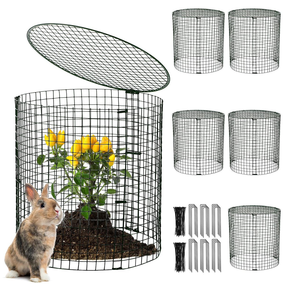 Hiboom assembled plant cage front view showing full protection and neat garden look